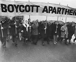 The American Apartheid